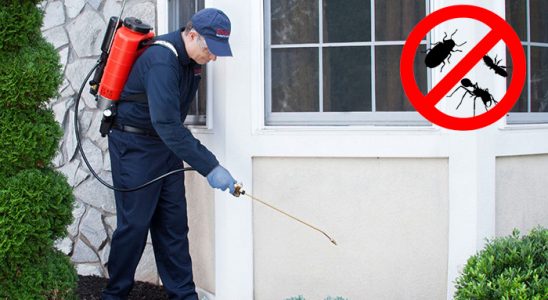 Boyabat Karınca İlaçlama böcek ilaçlama ve haşere kontrolü — ilaclama-tr.com